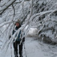Magda fing an (und zog es durch) sämtliche herabhängenden Zweige vom Schnee zu befreien...